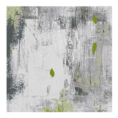 Graphic Pattern Nylon Fiber Printed Carpet Tiles With PVC Backing